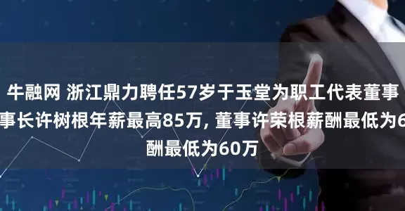 牛融网 浙江鼎力聘任57岁于玉堂为职工代表董事, 董事长许树根年薪最高85万, 董事许荣根薪酬最低为60万