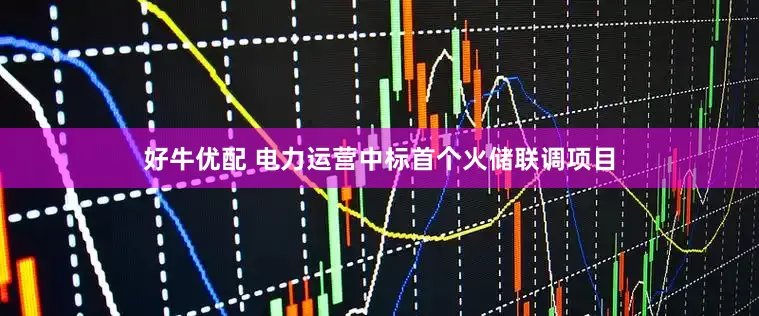 好牛优配 电力运营中标首个火储联调项目