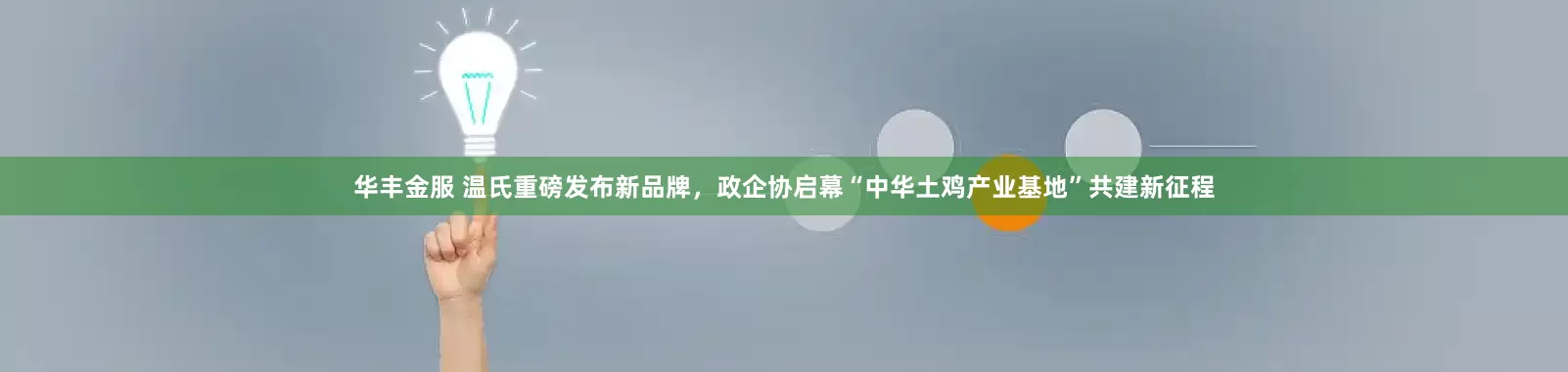 华丰金服 温氏重磅发布新品牌，政企协启幕“中华土鸡产业基地”共建新征程