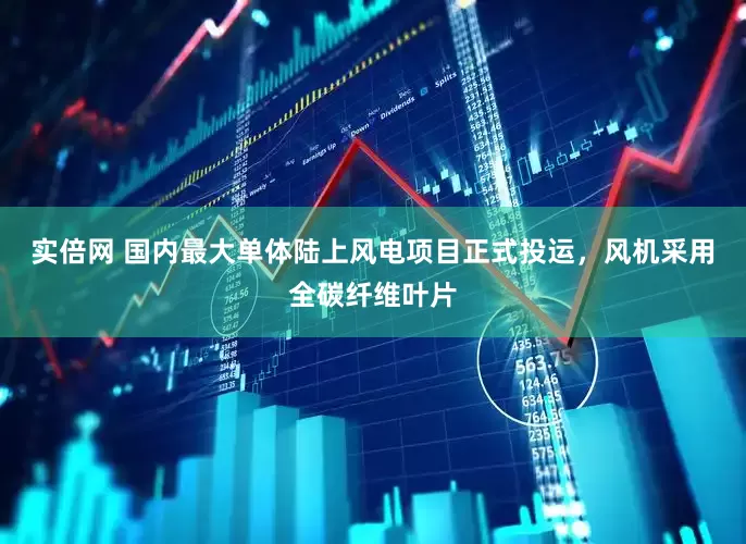 实倍网 国内最大单体陆上风电项目正式投运，风机采用全碳纤维叶片